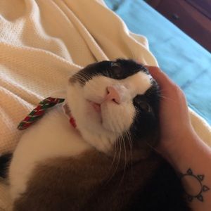 Meet your Posher, Taylor